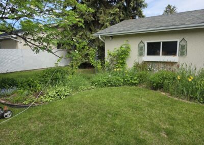 Front garden at Uncle Gerald's Place
